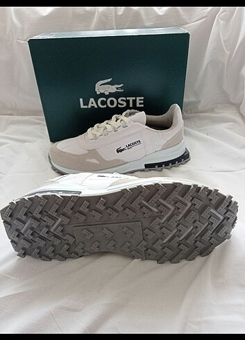 40 Beden LACOSTE