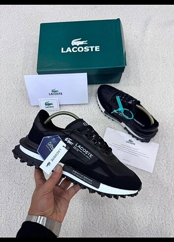 Lacoste LACOSTE