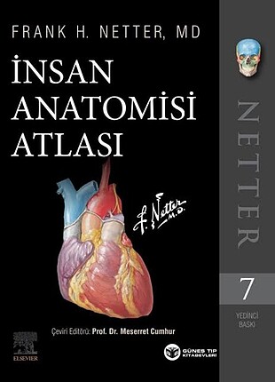 Anatomi atlasi