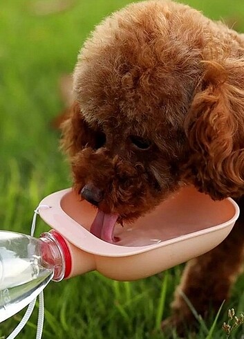 Plastik Su Kabı Tüy Toplayıcı Rulo Fırça - Görsel 2