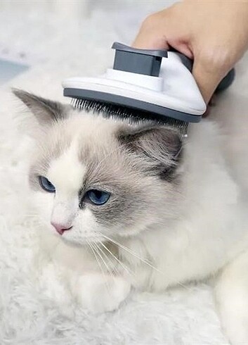 Kedi Köpek Tüy Toplayıcı Kendini Temizleyebilen - Görsel 2
