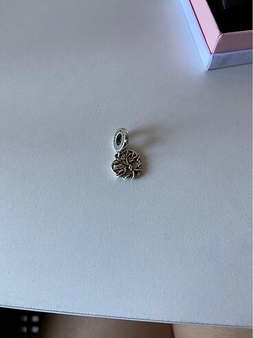 pandora charm
