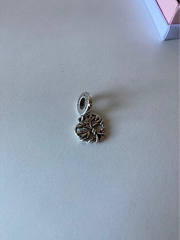 Pandora pandora charm