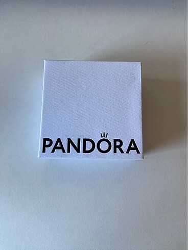 Beden gri Renk pandora charm