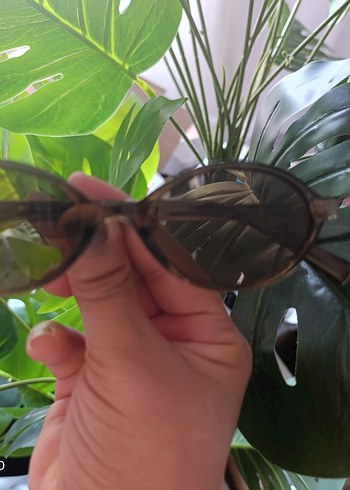 Kahverengi Transparan Retro Kadın Gözlüğü - Görsel 2