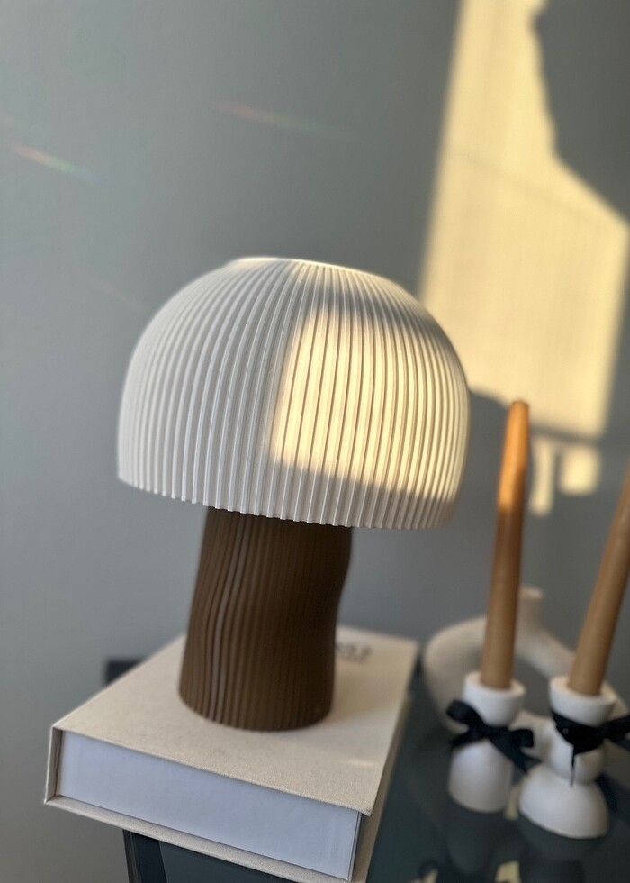 Çevre dostu abajur - Görsel 2