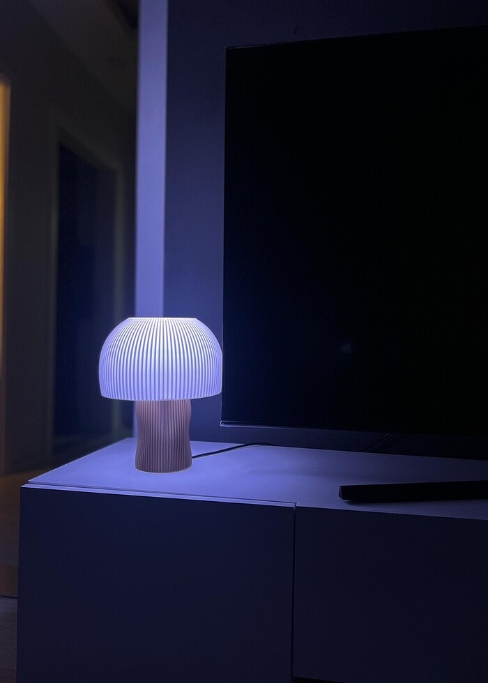 Çevre dostu abajur - Görsel 3