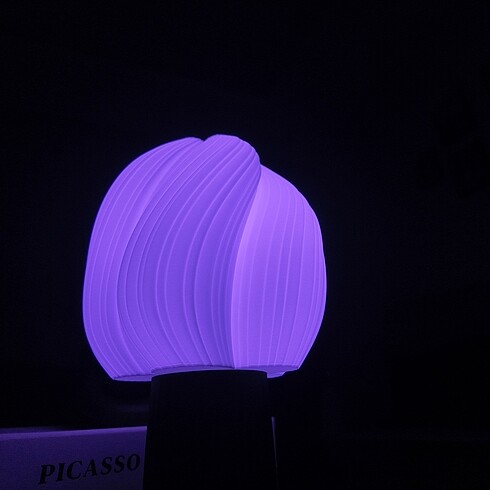 Modern Dalgalı Tasarım Abajur - Görsel 3