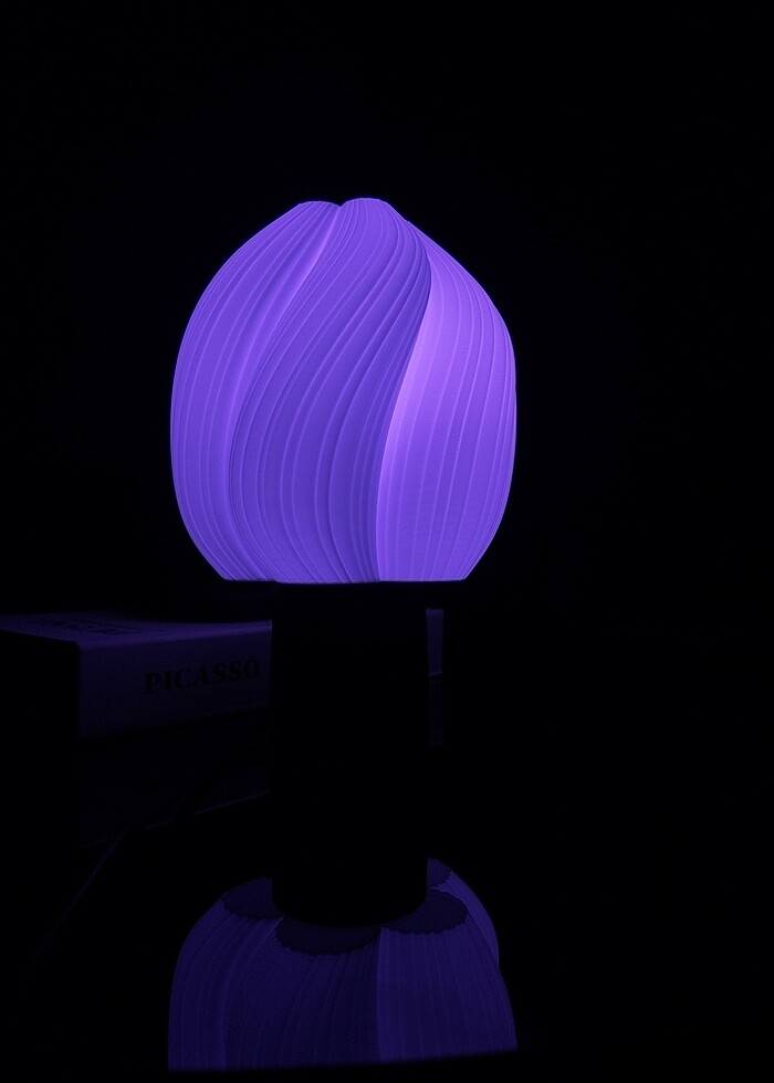 Modern Dalgalı Tasarım Abajur - Görsel 2