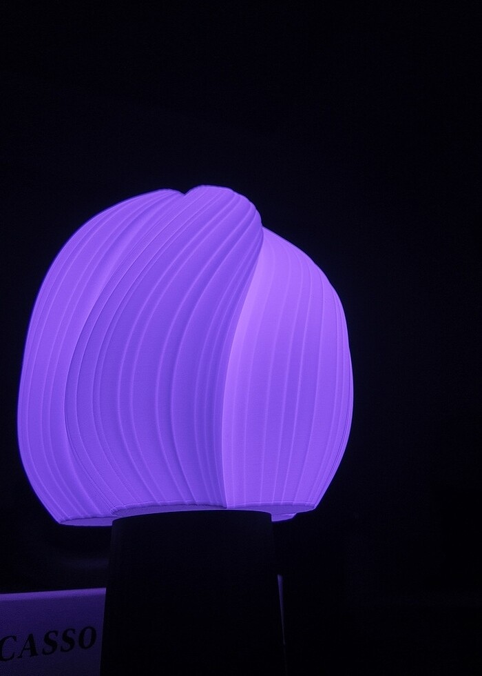 Modern Dalgalı Tasarım Abajur - Görsel 3