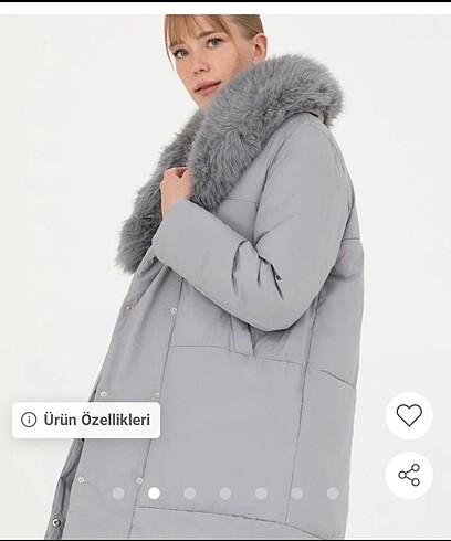 m Beden PİERRE CARDIN kadın mont