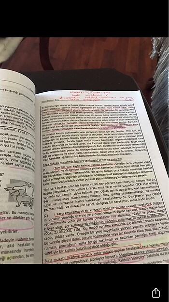 Ceza hukuku kitabı - Görsel 6