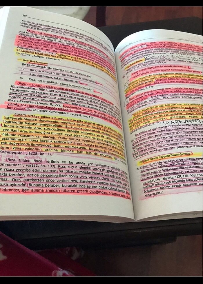 Ceza hukuku kitabı - Görsel 5