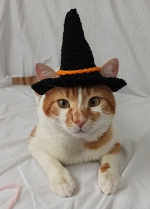 Siyah cadı şapkası kedi şapkası halloween