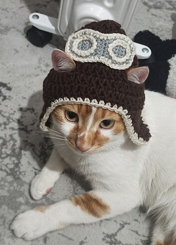 pilot kedi şapkası köpek şapkası örgü evcil hayvan şapkası