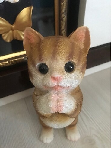 Beden Biblo kedi
