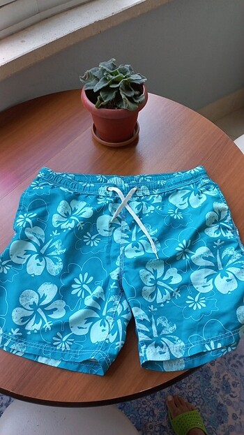 Diğer Standart Beden