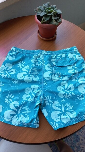 M beden erkek deniz sortu - Görsel 2