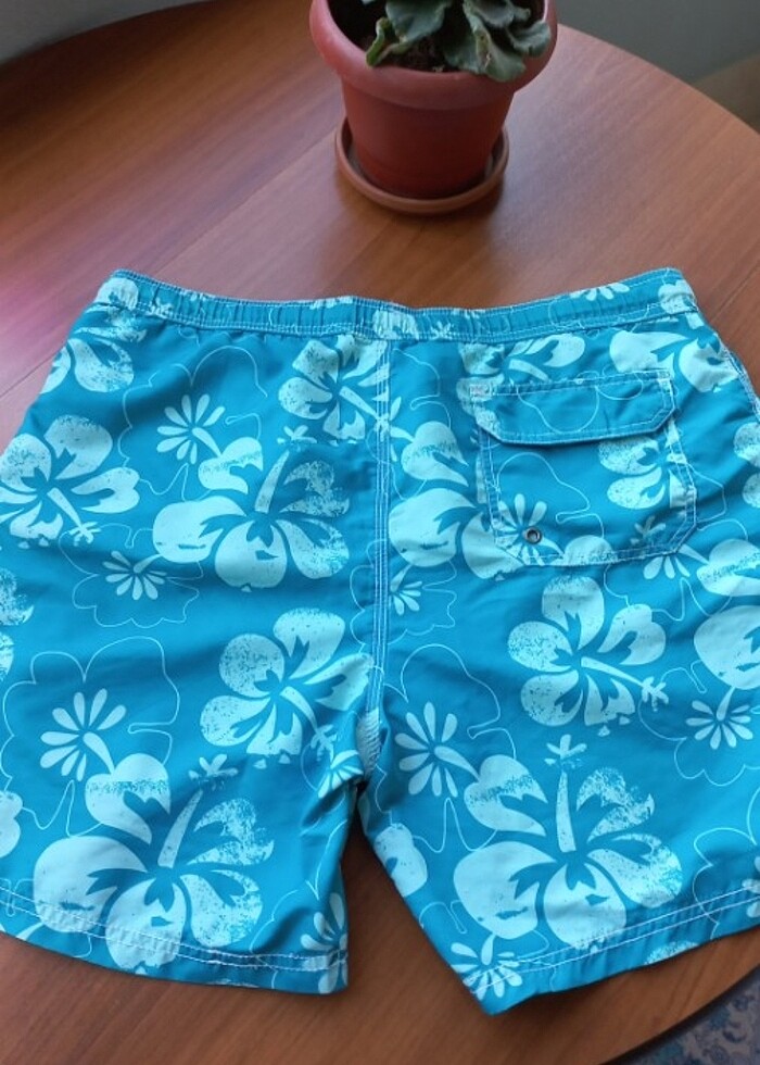 M beden erkek deniz sortu - Görsel 2