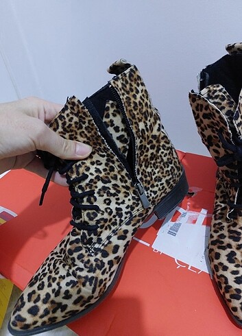 Zara Leopar bot