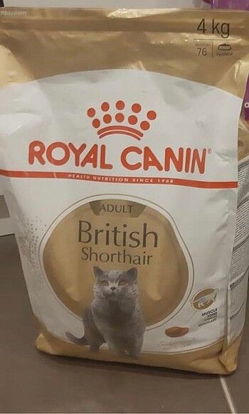 Royal canın kedi maması