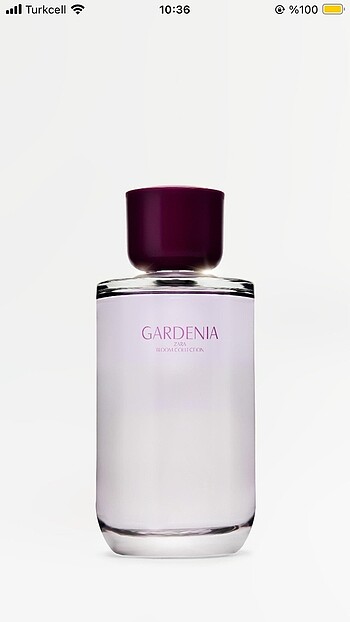 Zara parfüm gardenia
