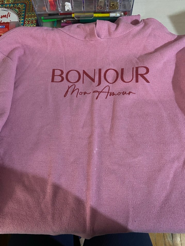 Pembe Baskılı Kadın Triko Sweatshirt - Görsel 2