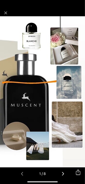Muscent Byredo Blanche