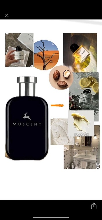 Muscent Byredo Bal d africa
