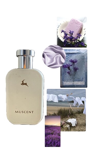 Diğer Muscent parfümler