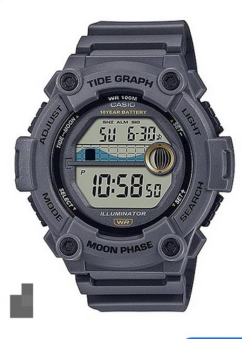 casio