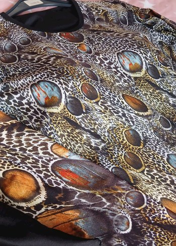 mayo hasema - Görsel 6