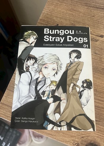 Bungou Stray Dogs manga