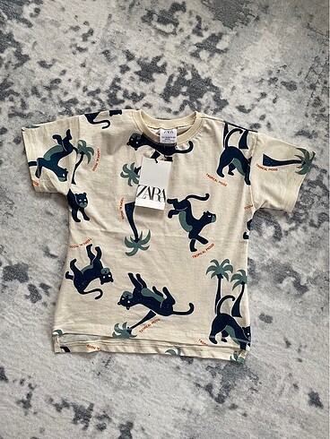 Zara tshirt