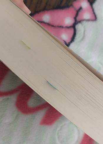 Lordlar ve Varisler -Hgoi 1 - Görsel 2