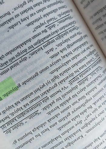 Lordlar ve Varisler -Hgoi 1 - Görsel 3