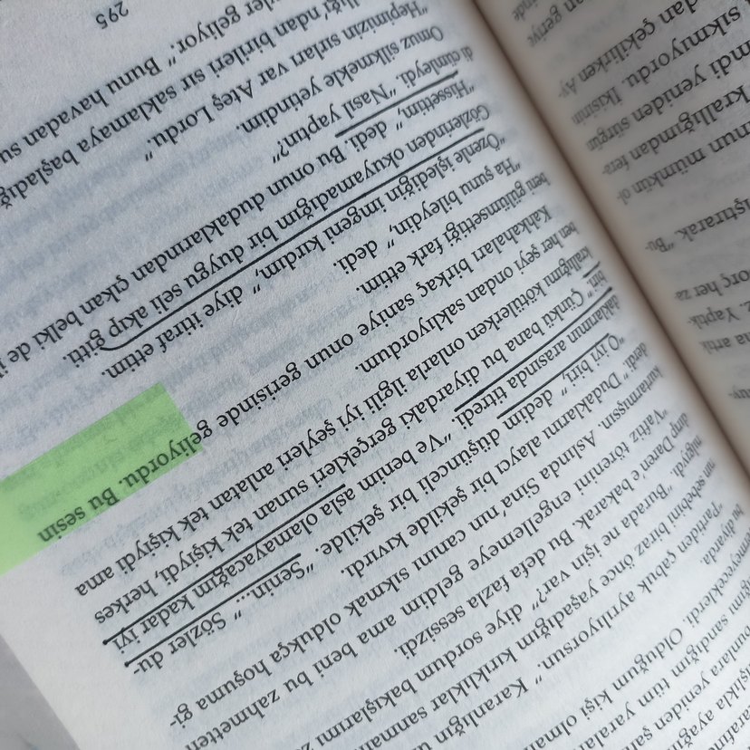 Lordlar ve Varisler -Hgoi 1 - Görsel 3