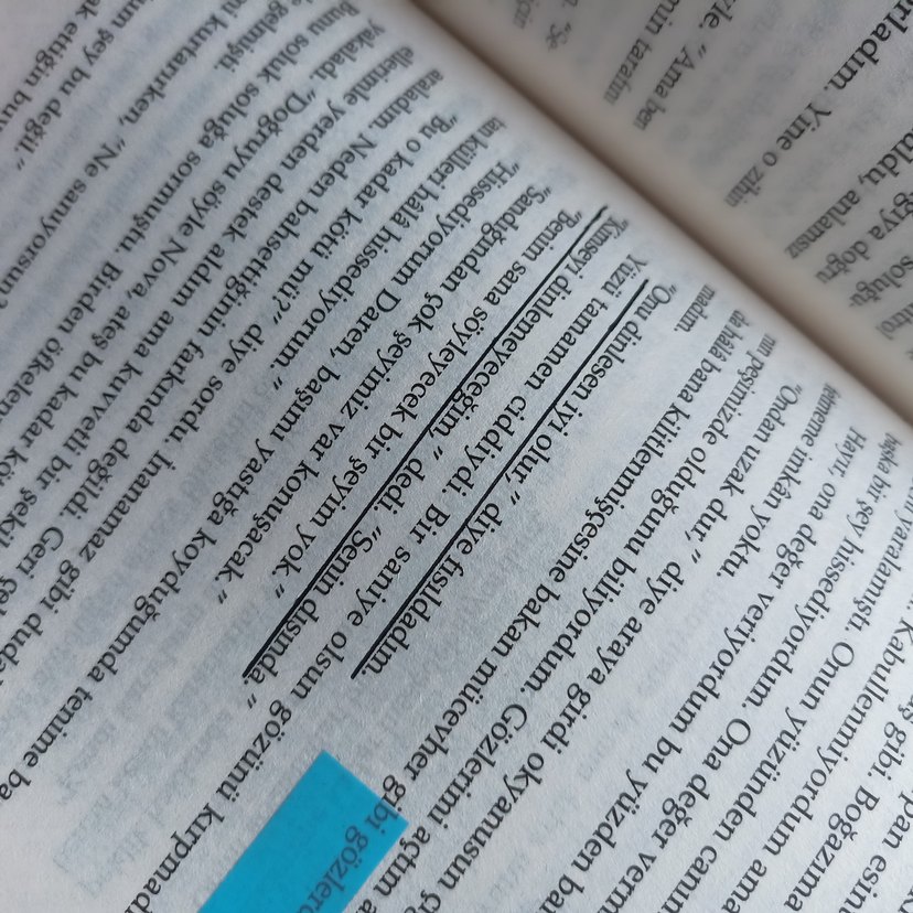 Lordlar ve Varisler -Hgoi 1 - Görsel 4