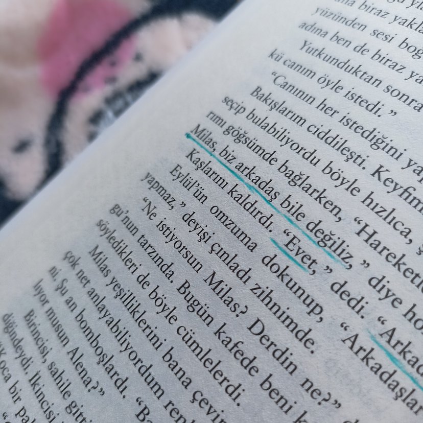 Onun Şeytanları -Beyza Aksoy - Görsel 2