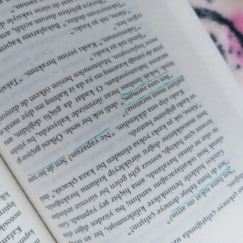 Onun Şeytanları -Beyza Aksoy - Görsel 4