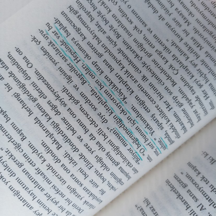 Onun Şeytanları -Beyza Aksoy - Görsel 3