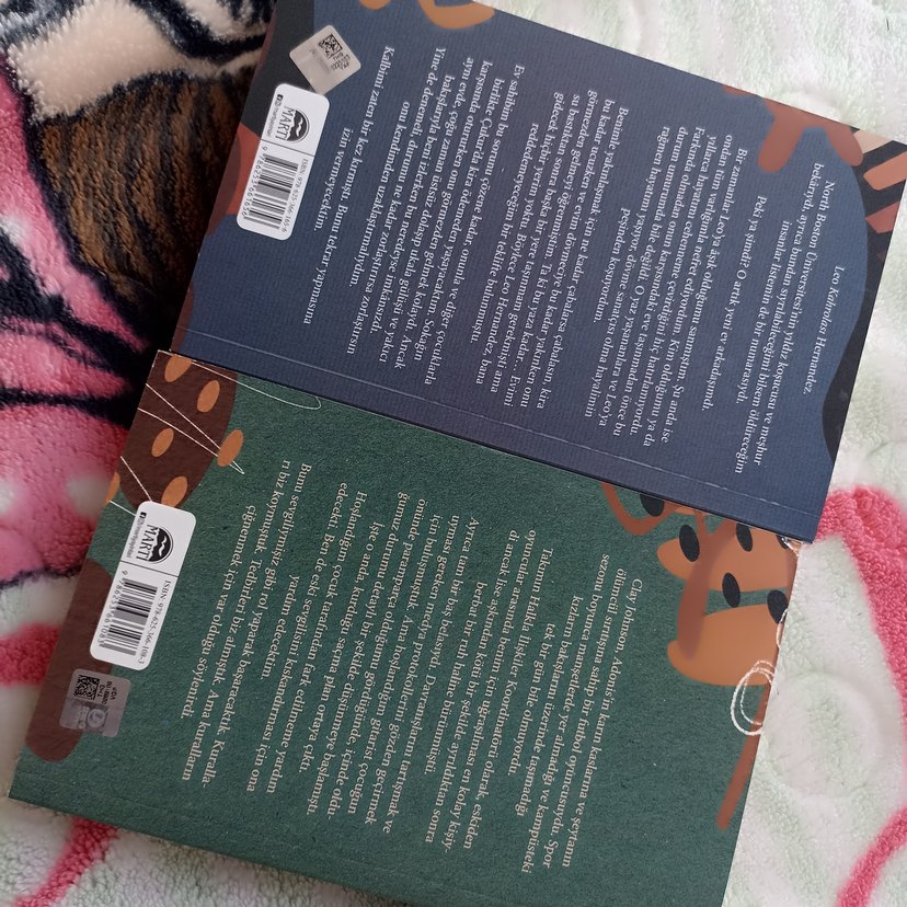 Çaresiz atış, kör nokta - Görsel 3