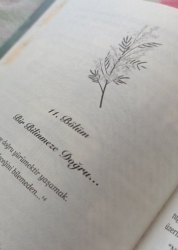 Bir Mimoza Masalı - Almina - Görsel 8