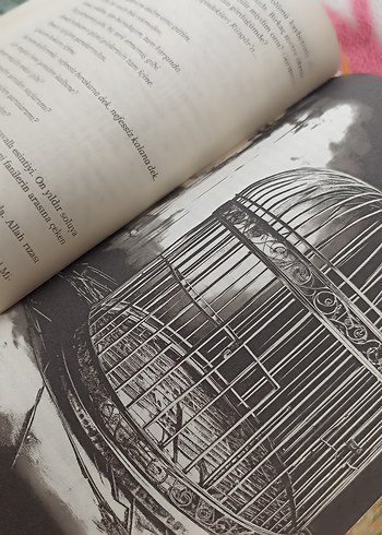 Bir Mimoza Masalı - Almina - Görsel 9