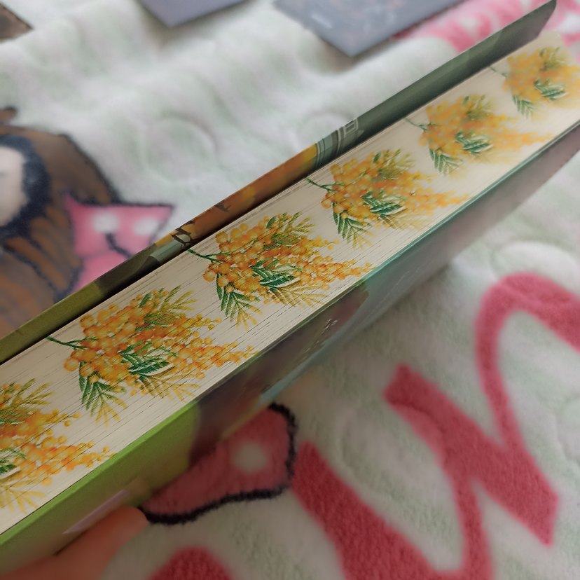 Bir Mimoza Masalı - Almina - Görsel 4