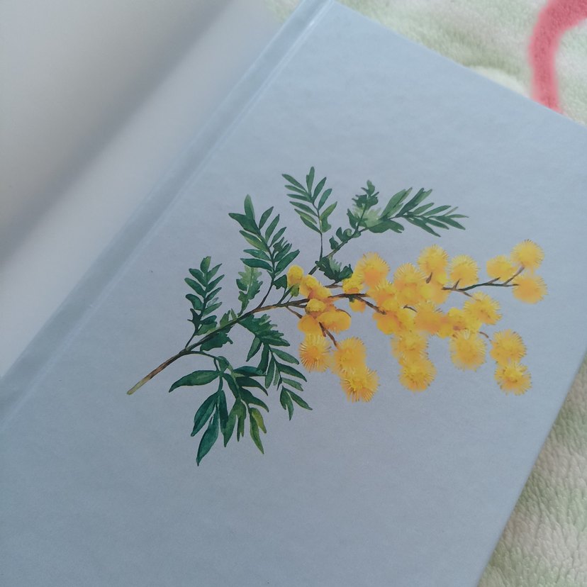 Bir Mimoza Masalı - Almina - Görsel 3