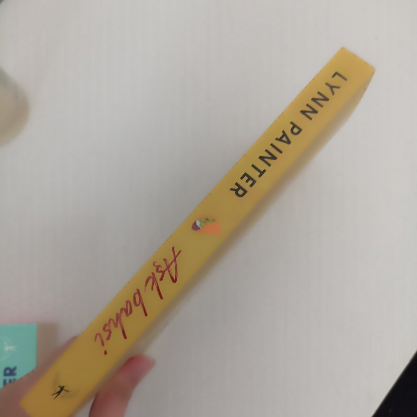 Aşk Bahsi - Lynn Painter - Görsel 2