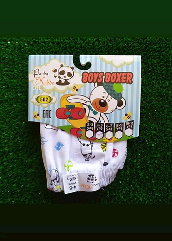 Erkek Çocuk Baskılı Boxer - Görsel 4