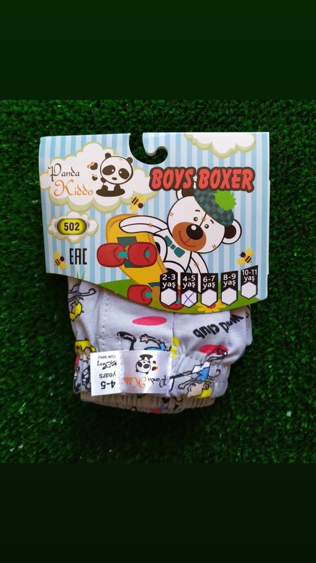 Erkek Çocuk Baskılı Boxer - Görsel 2