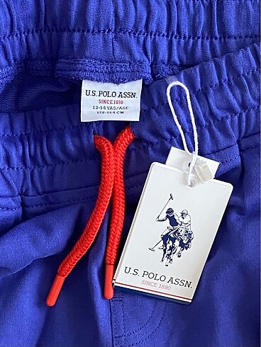 U.S Polo Assn. Polo şort